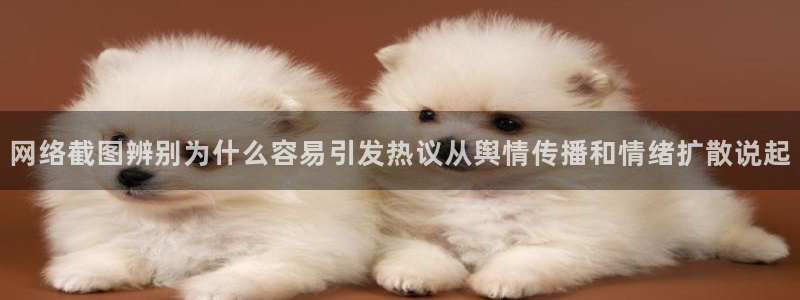 职场热点公开回应