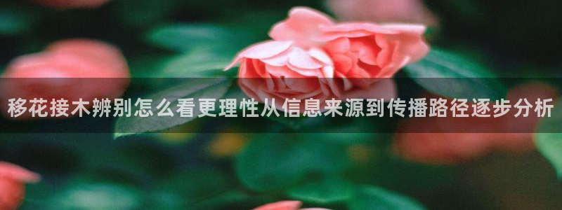 职场热点原始出处