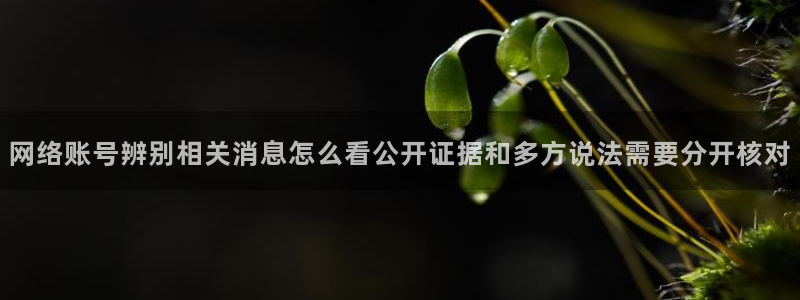网络热点热点汇总