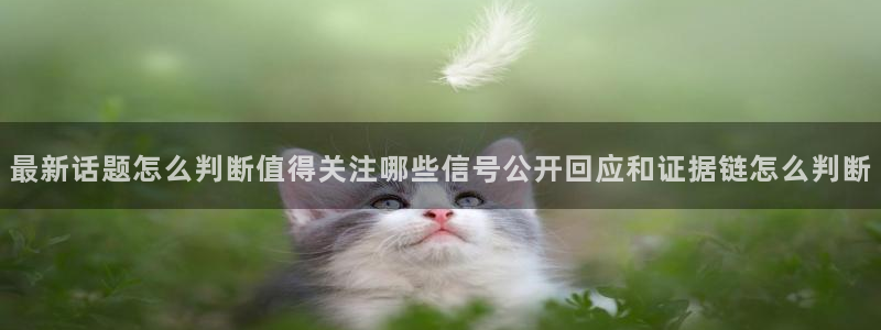 吃瓜爆料事件始末