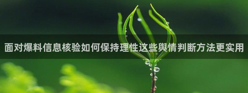 吃瓜后续进展