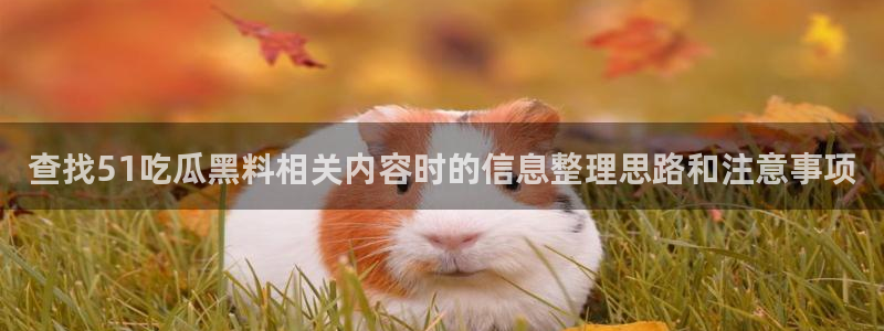 吃瓜今日更新