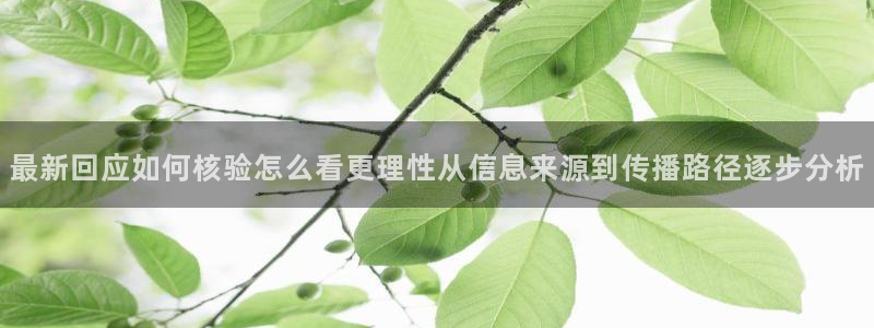 网红吃瓜公开回应