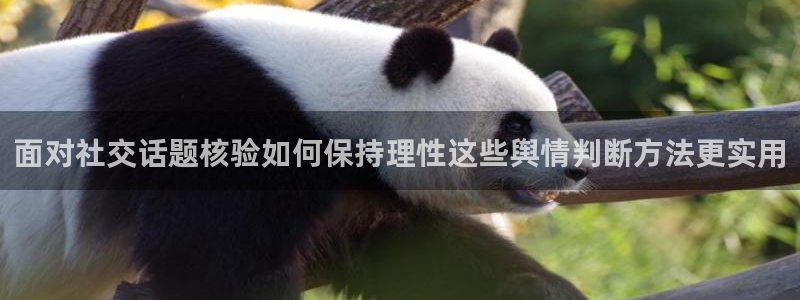 理性吃瓜热点汇总