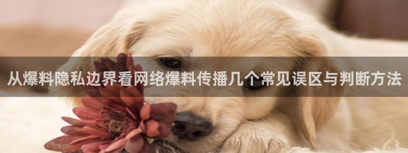 职场热点完整时间线